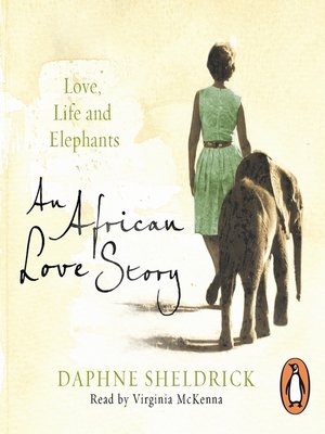 cover image of An African Love Story